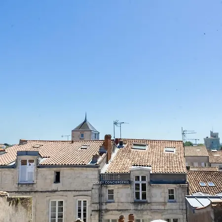 Sur Les Toits Du Vieux Port Avec Terrasse